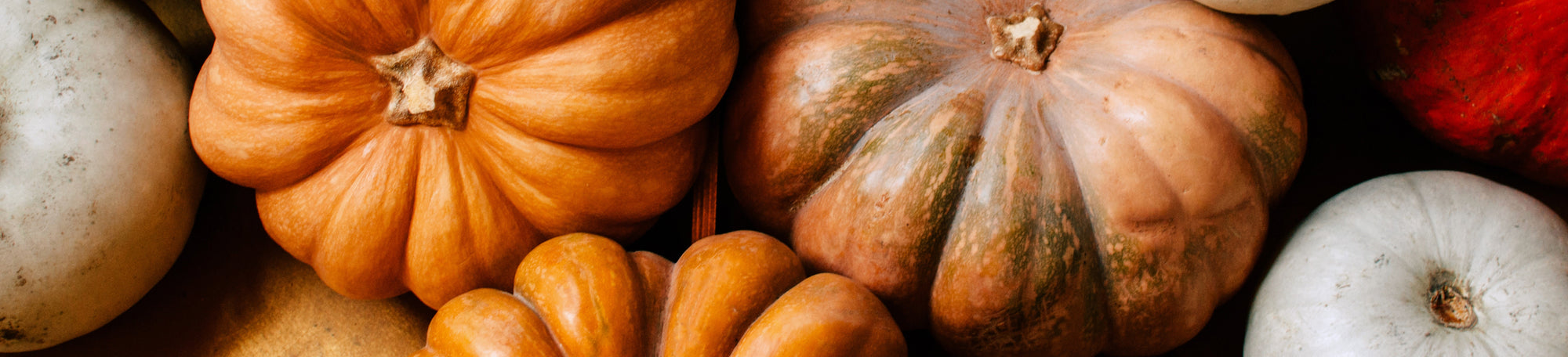 Sugar Pumpkin