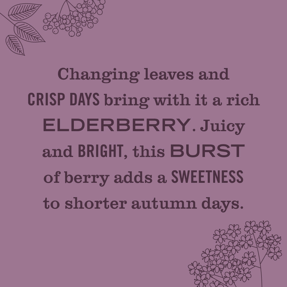 Elderberry Soy Candle Large – Mrs. Meyer's Clean Day