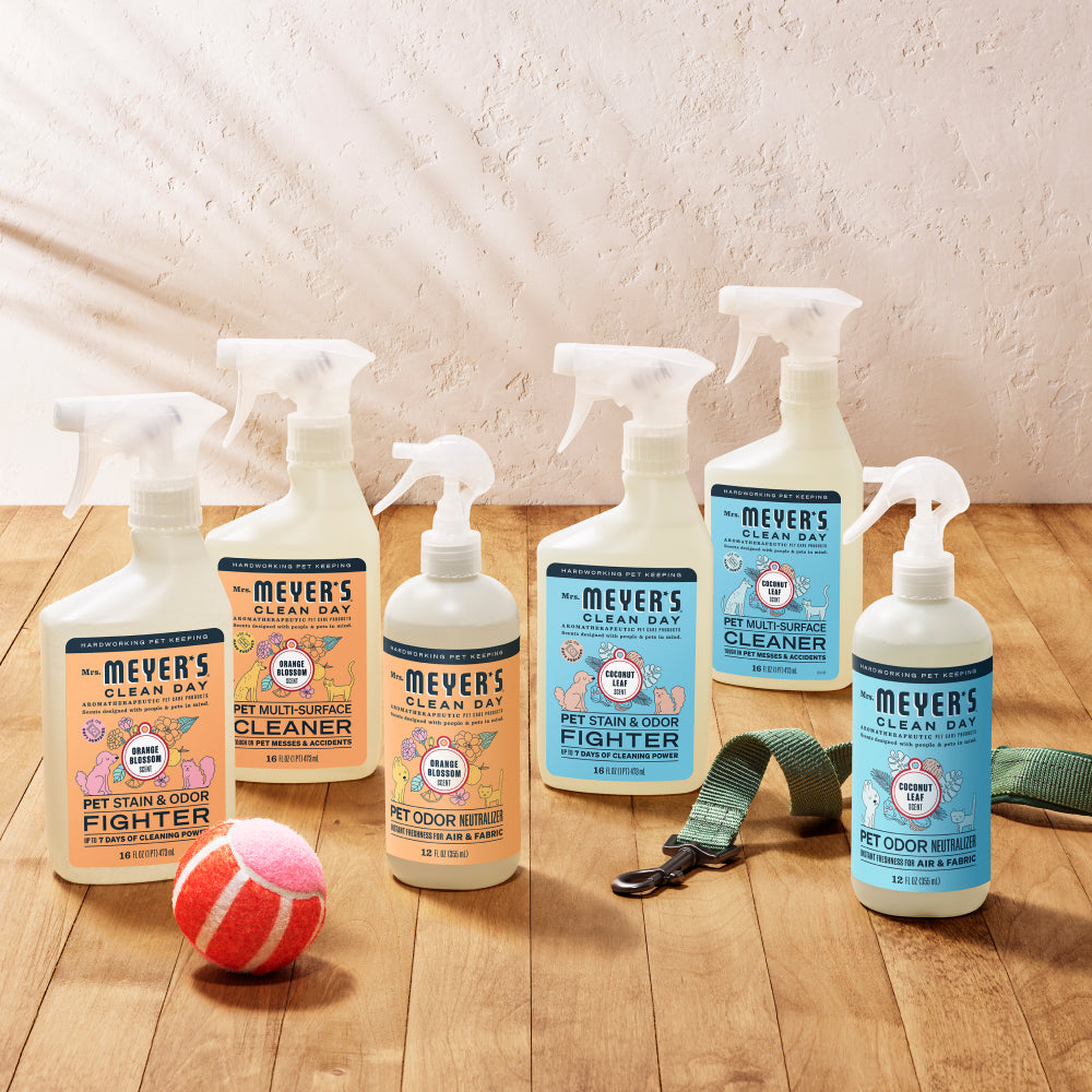 Orange Blossom Pet Stain & Odor Fighter – Mrs. Meyer's Clean Day