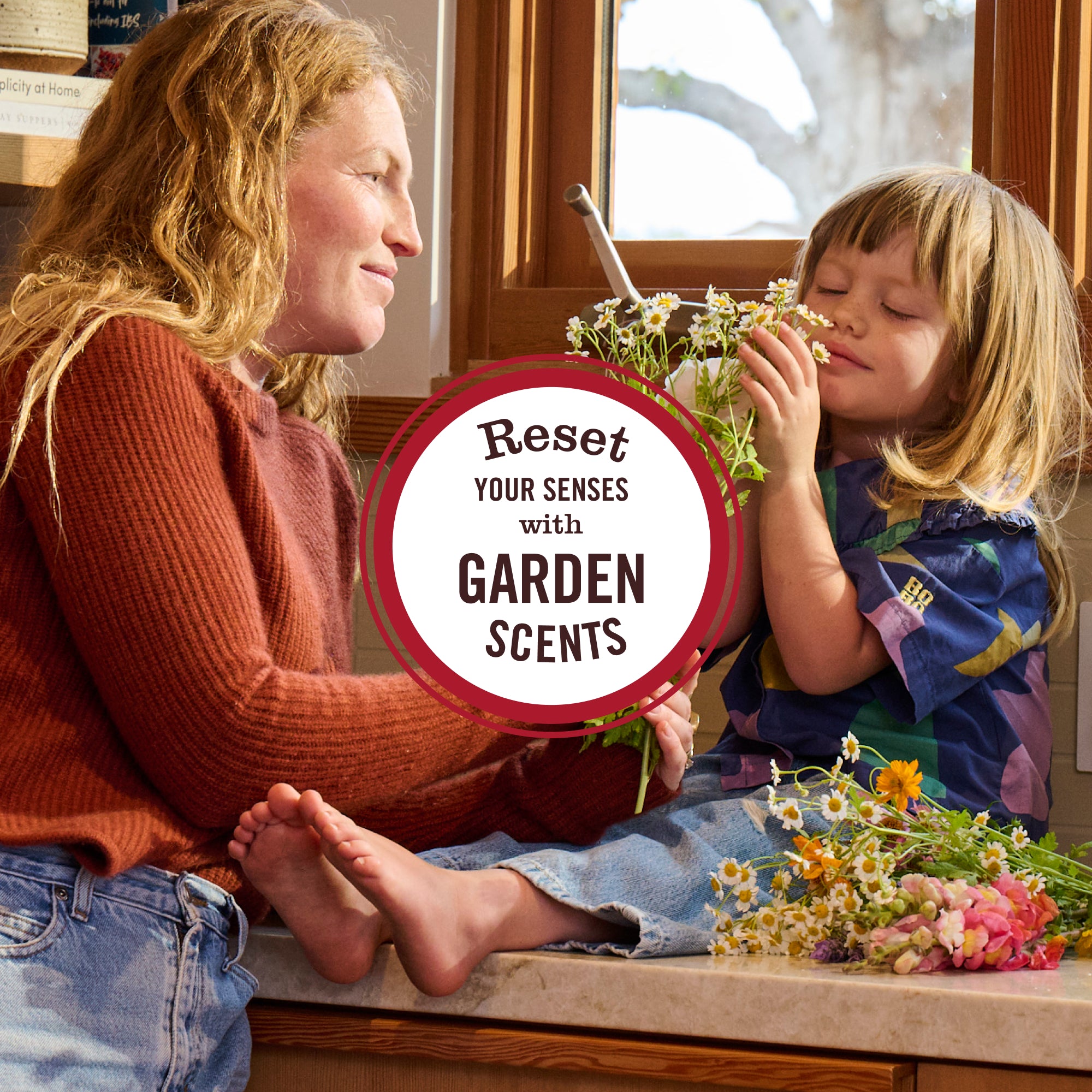Fresh Cut Grass Room Freshener – Mrs. Meyer's Clean Day