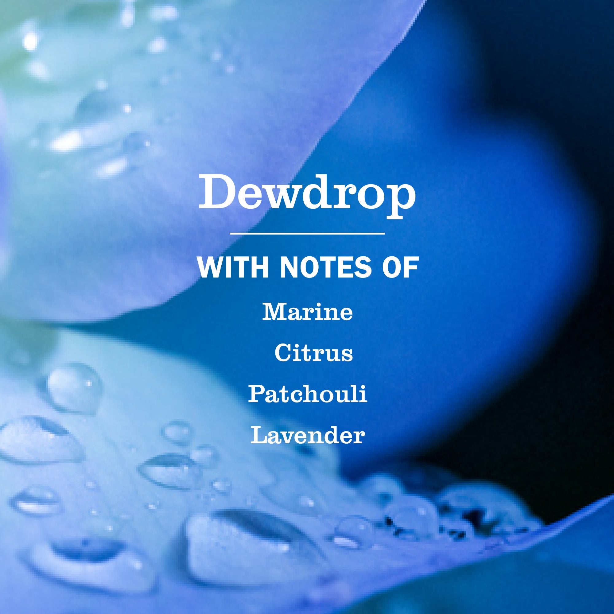 Dewdrop Collection – Mrs. Meyer's Clean Day