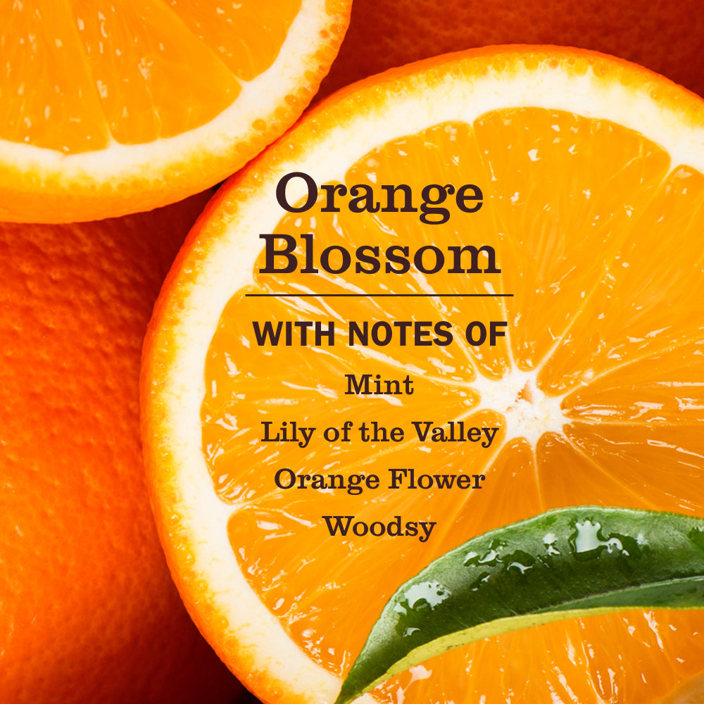 Orange Blossom Pet Multi-Surface Cleaner – Mrs. Meyer's Clean Day