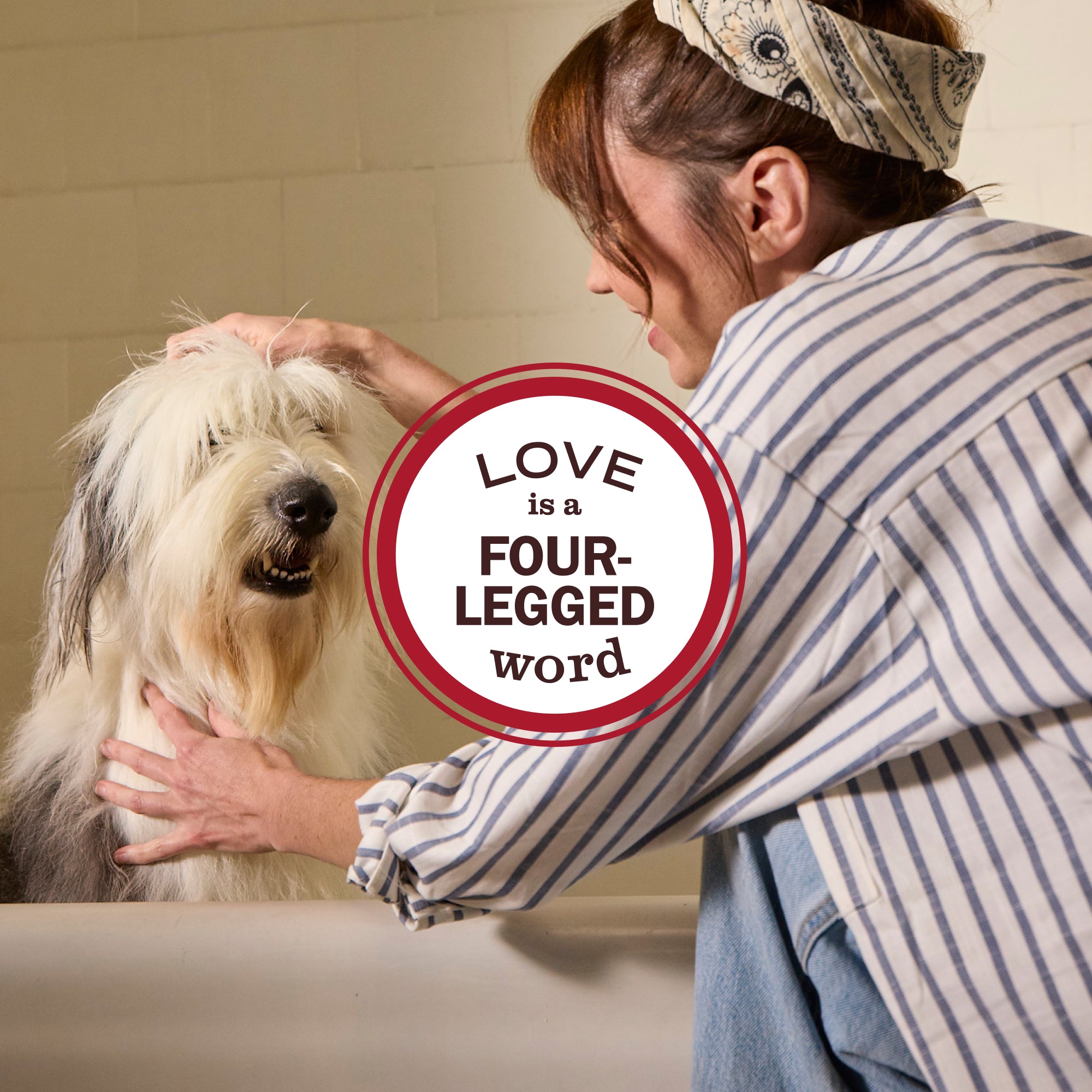 Sweet Chamomile Cat Deodorizing Spritz – Mrs. Meyer's Clean Day