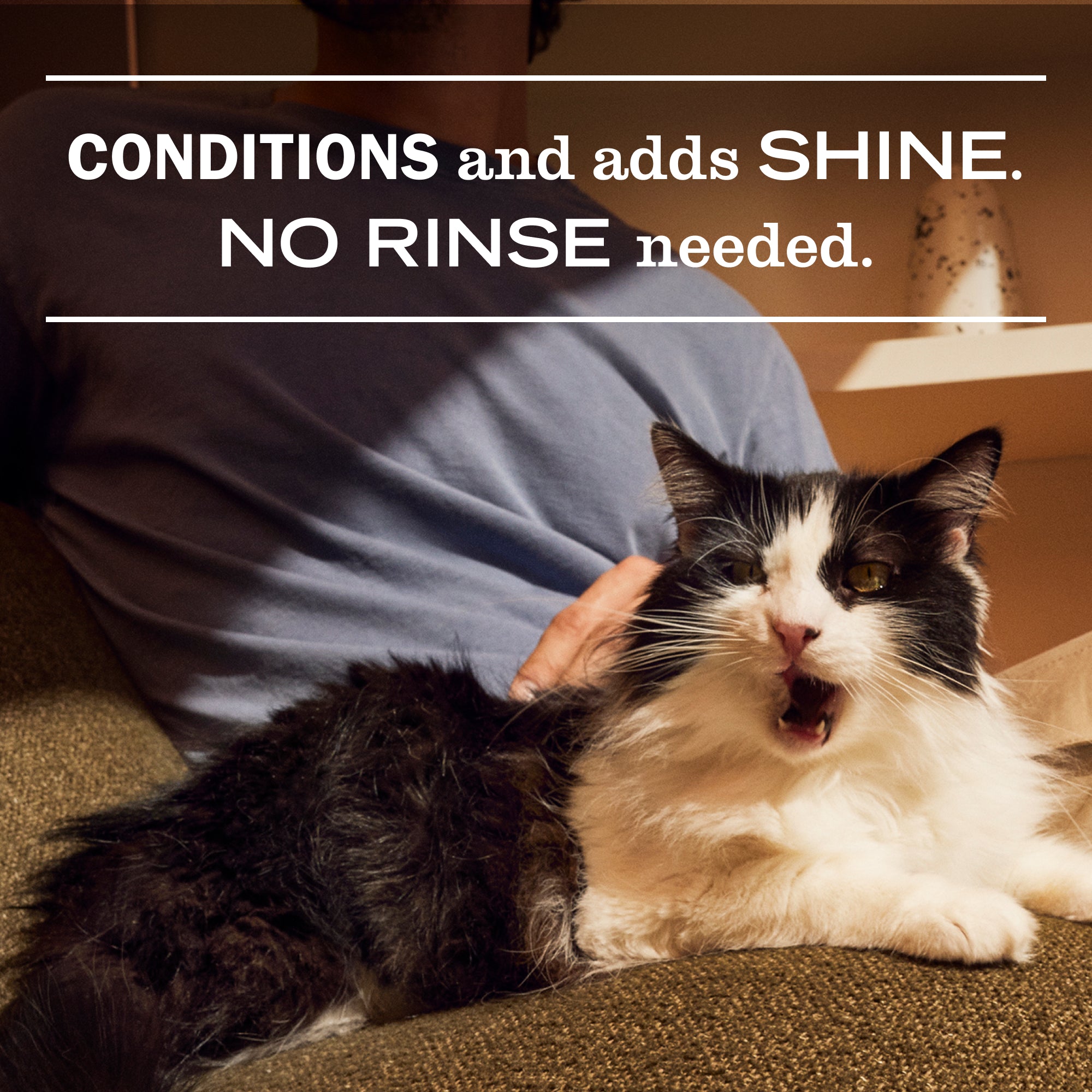 Sweet Chamomile Cat Deodorizing Spritz – Mrs. Meyer's Clean Day