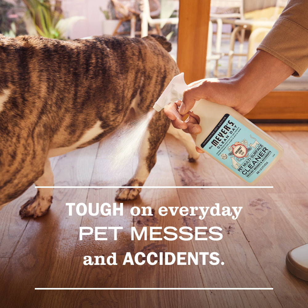 Coconut Leaf Pet Multi-Surface Cleaner – Mrs. Meyer's Clean Day