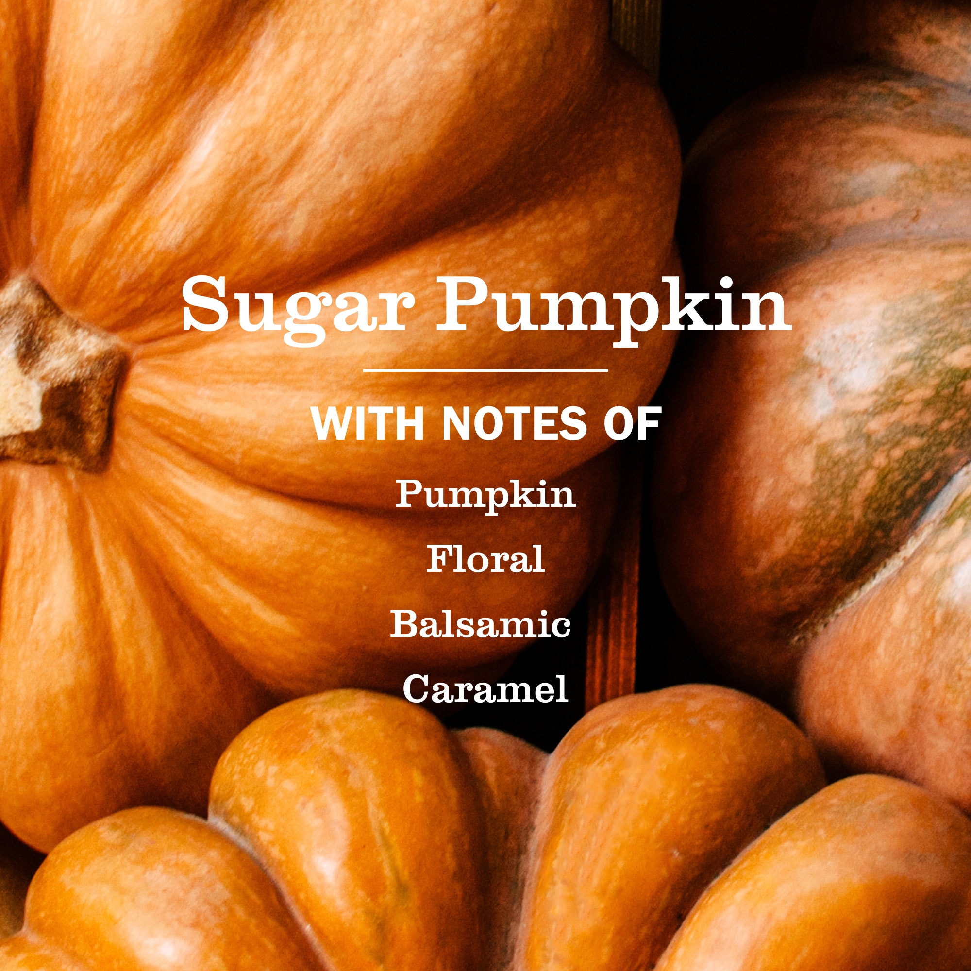 Sugar Pumpkin Liquid Hand Soap – Mrs. Meyer's Clean Day