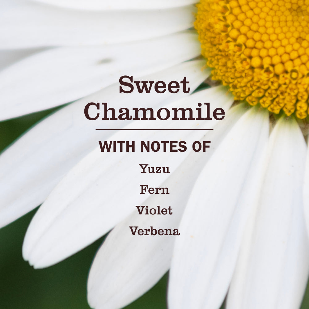 Sweet Chamomile Cat Deodorizing Spritz – Mrs. Meyer's Clean Day