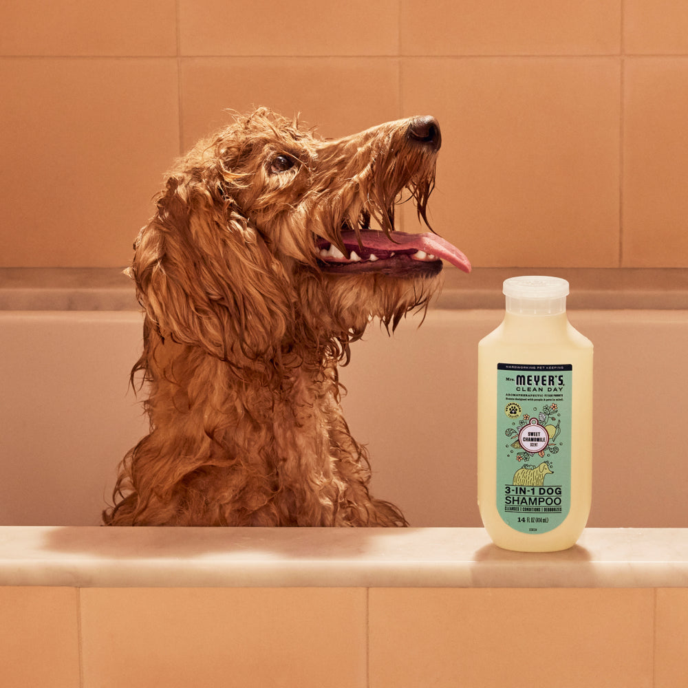 Sweet Chamomile 3-in-1 Dog Shampoo – Mrs. Meyer's Clean Day