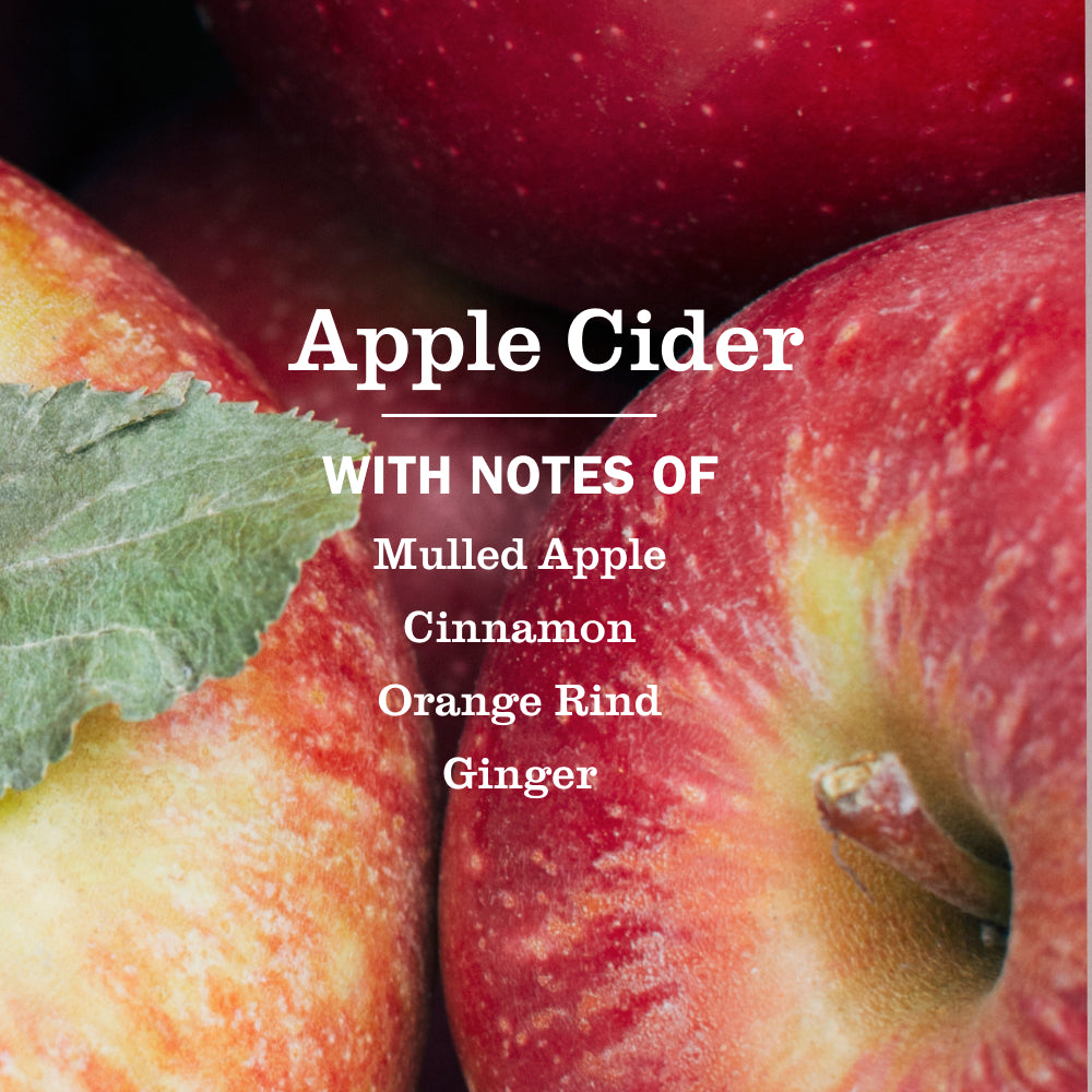 Mrs. Meyer's Apple Cider Kitchen Basics Set – Mrs. Meyer's Clean Day
