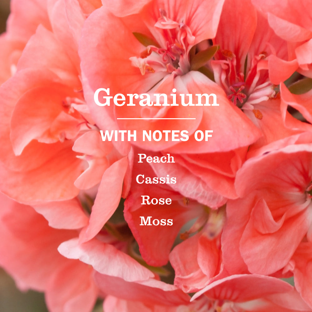 Mrs. Meyer's Geranium Kitchen Basics Set – Mrs. Meyer's Clean Day