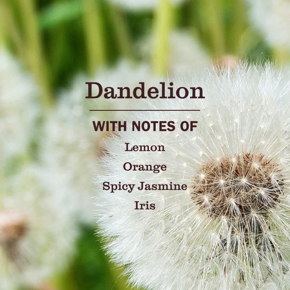 Mrs. Meyer's Dandelion Multi-Surface Everyday Cleaner – Mrs