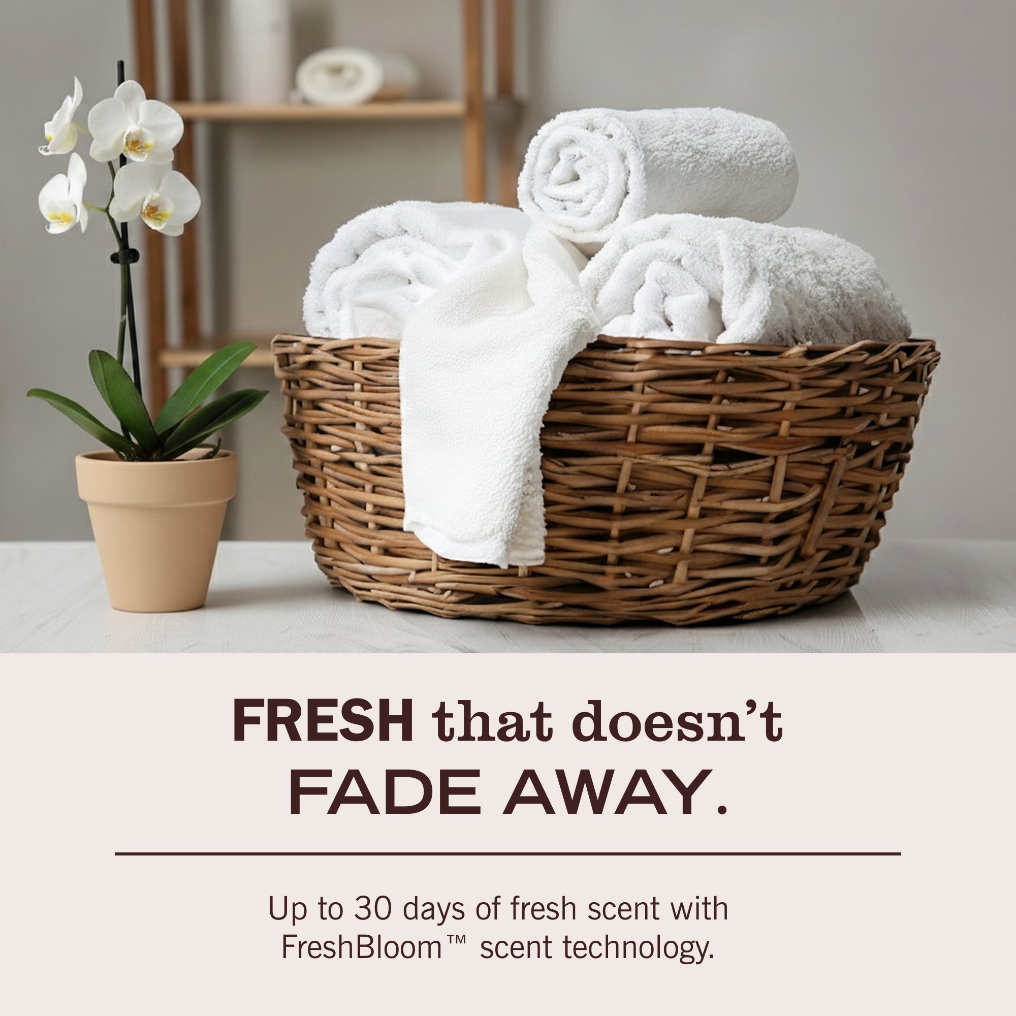 Mrs. Meyer's Honeysuckle Laundry Detergent – Mrs. Meyer's Clean Day