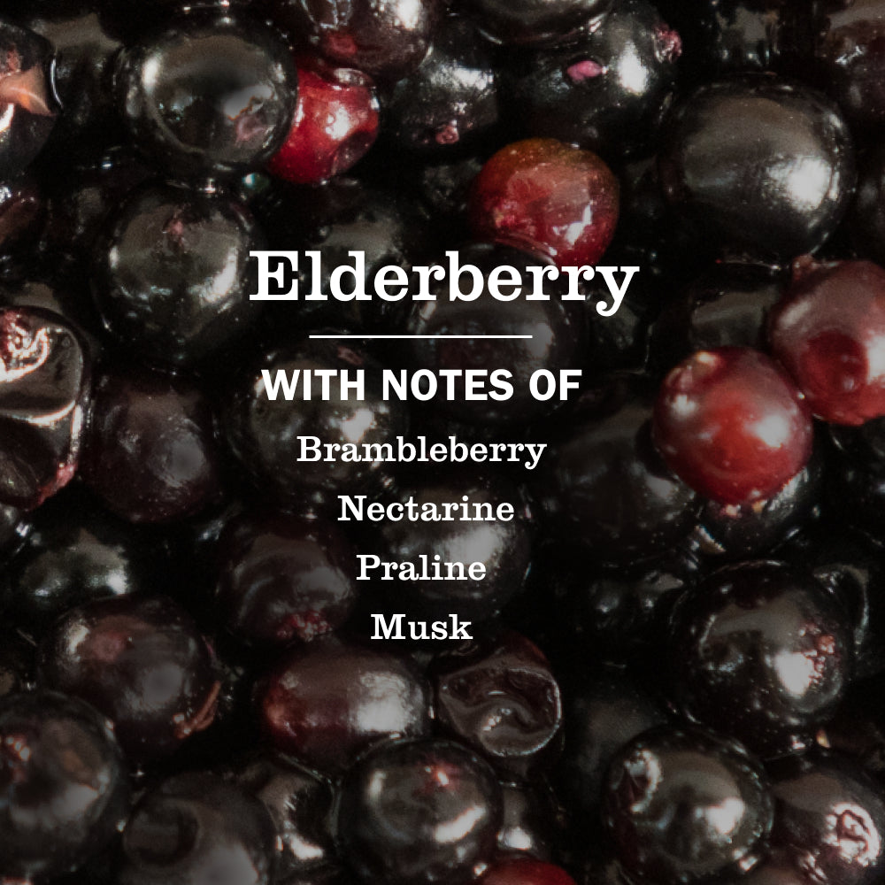Elderberry Multi-Surface Everyday Cleaner – Mrs. Meyer's Clean Day