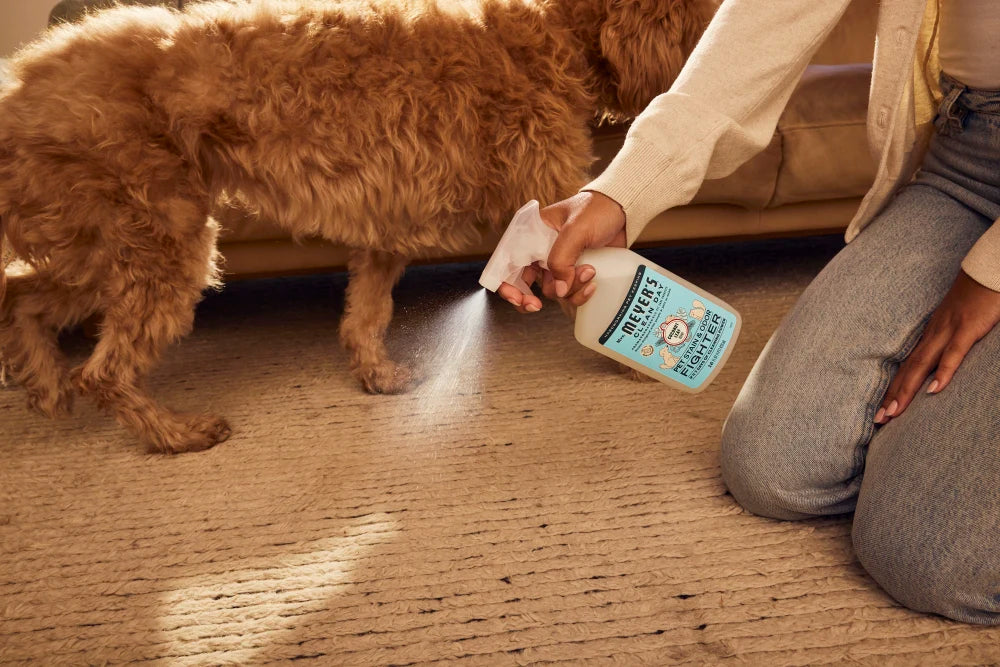 Coconut Oil Diy Dog Mints Judy Morgan's DIY Toothpaste – Judy