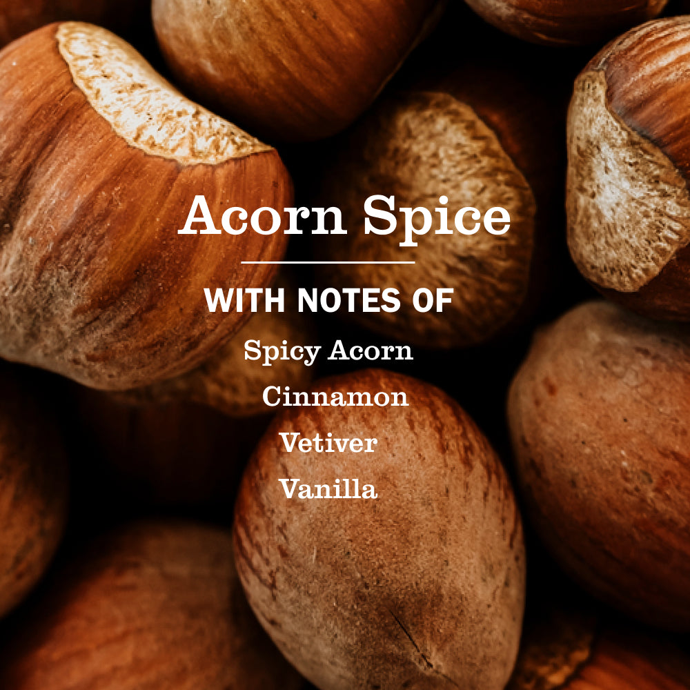 Mrs. Meyer's Acorn Spice Room Freshener – Mrs. Meyer's Clean Day