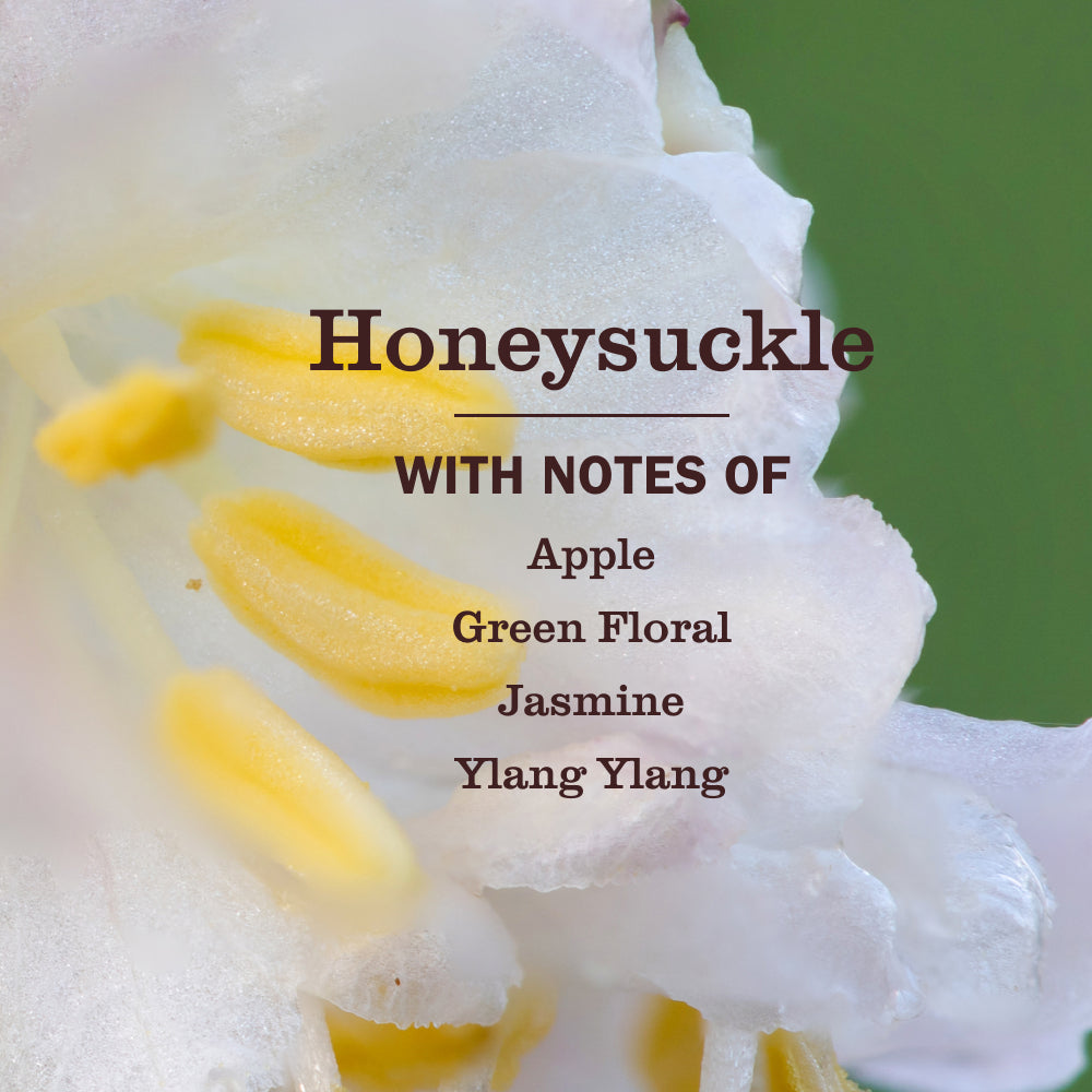 Honeysuckle Scent Booster – Mrs. Meyer's Clean Day