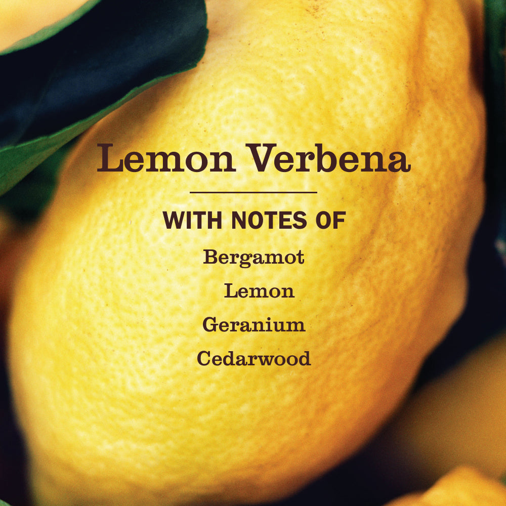 Mrs. Meyer's Lemon Verbena Probiotic Daily Shower Spray – Mrs