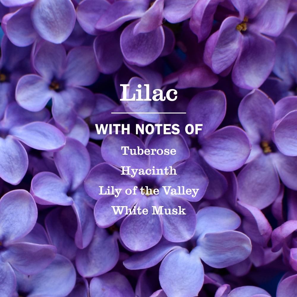 Mrs. Meyer's Lilac Liquid Hand Soap – Mrs. Meyer's Clean Day