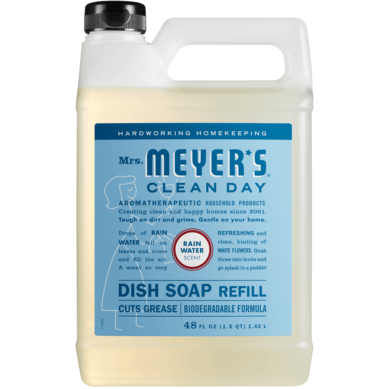 Rain Water Dish Soap Refill Set of 2