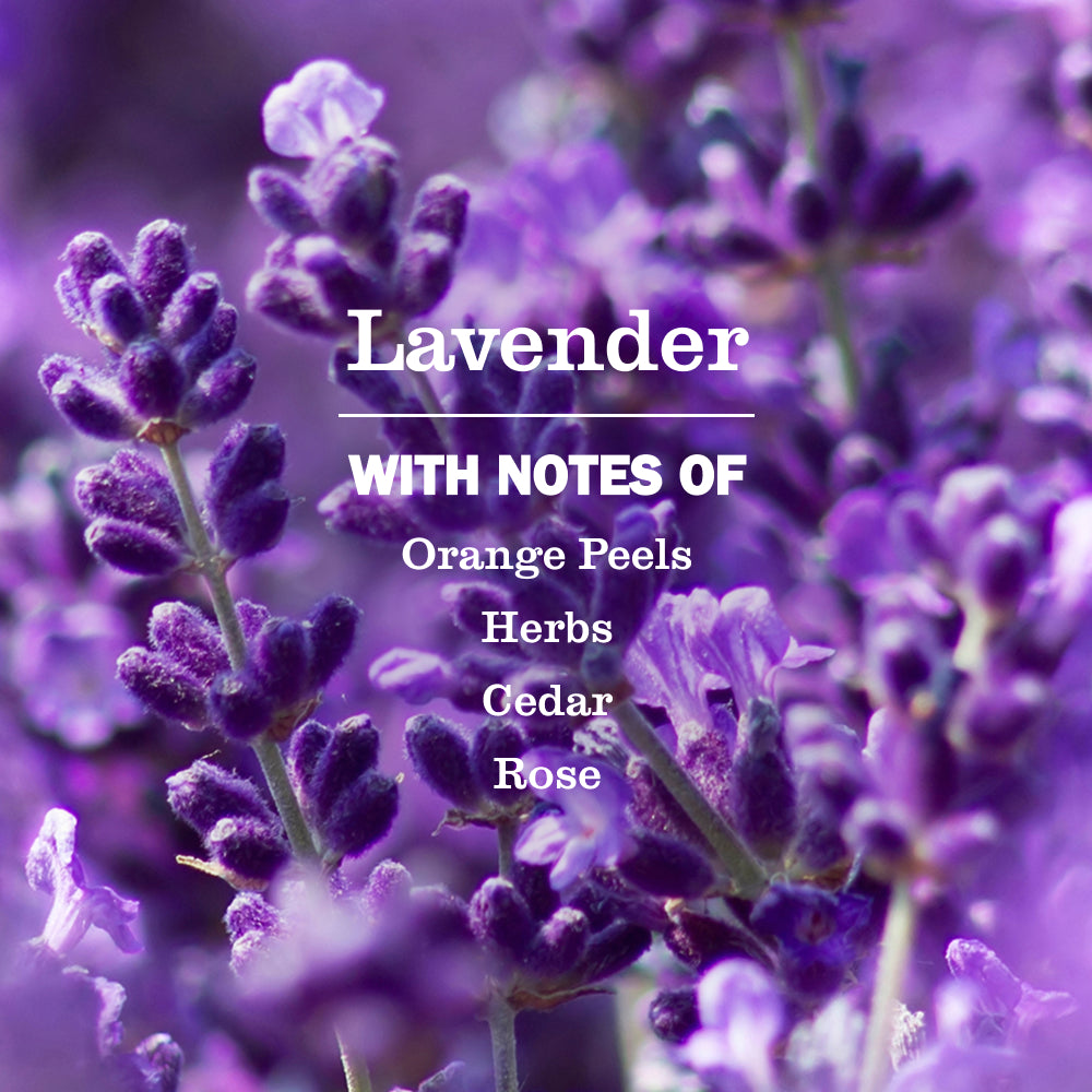 Lavender Liquid Hand Soap Refill | Mrs. Meyer's – Mrs. Meyer's