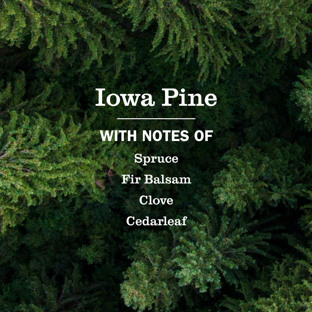 Mrs. Meyer's Iowa Pine Liquid Hand Soap – Mrs. Meyer's Clean Day