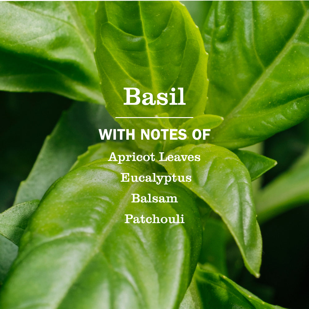 Mrs. Meyer's Basil Fabric Softener – Mrs. Meyer's Clean Day