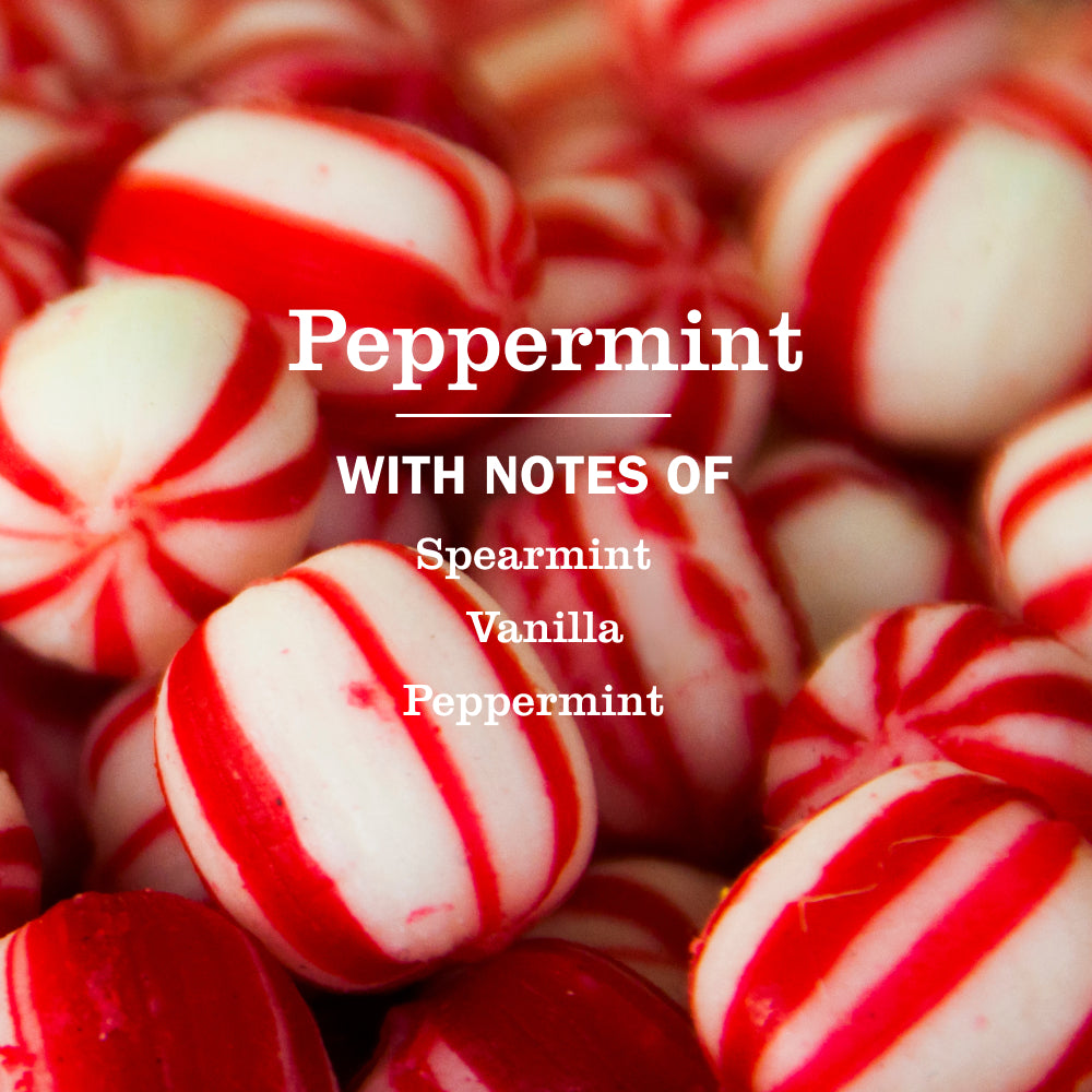 Mrs. Meyer's Peppermint Kitchen Basics Set – Mrs. Meyer's Clean Day