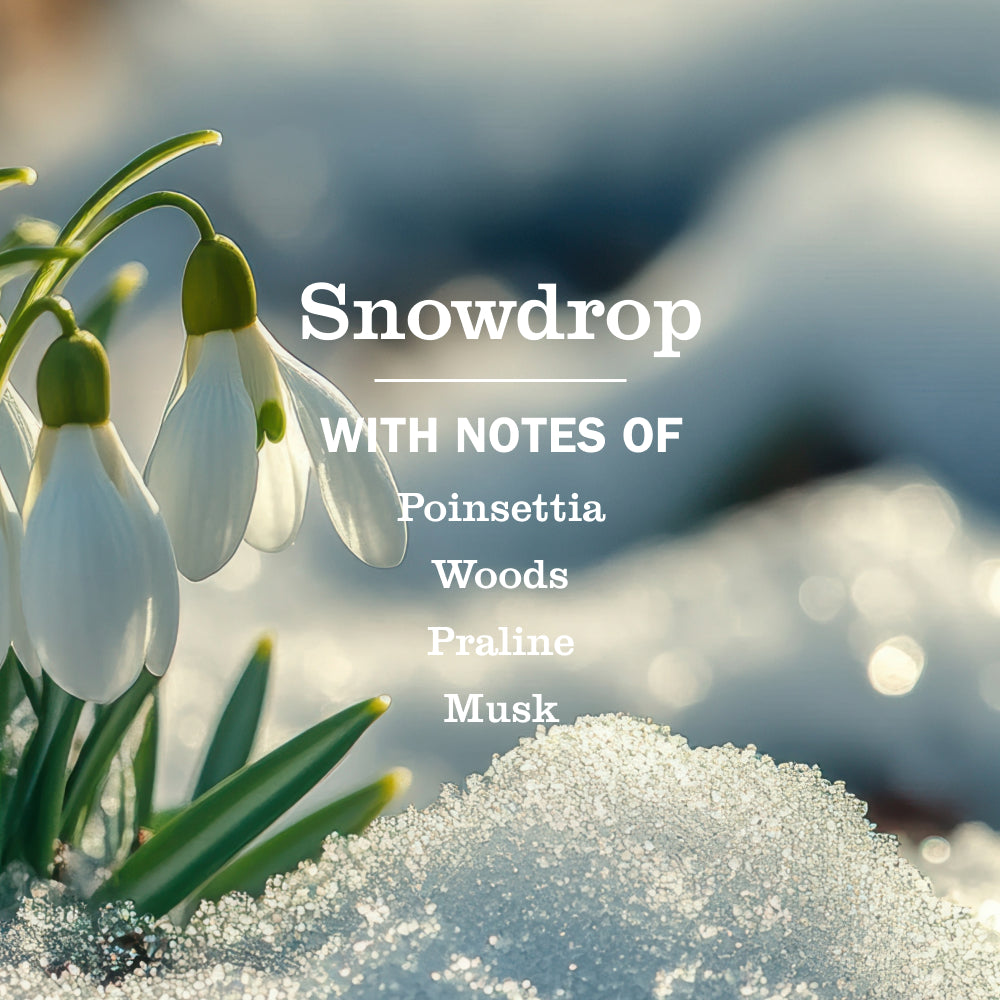 Mrs. Meyer's Snowdrop Multi-Surface Everyday Cleaner – Mrs