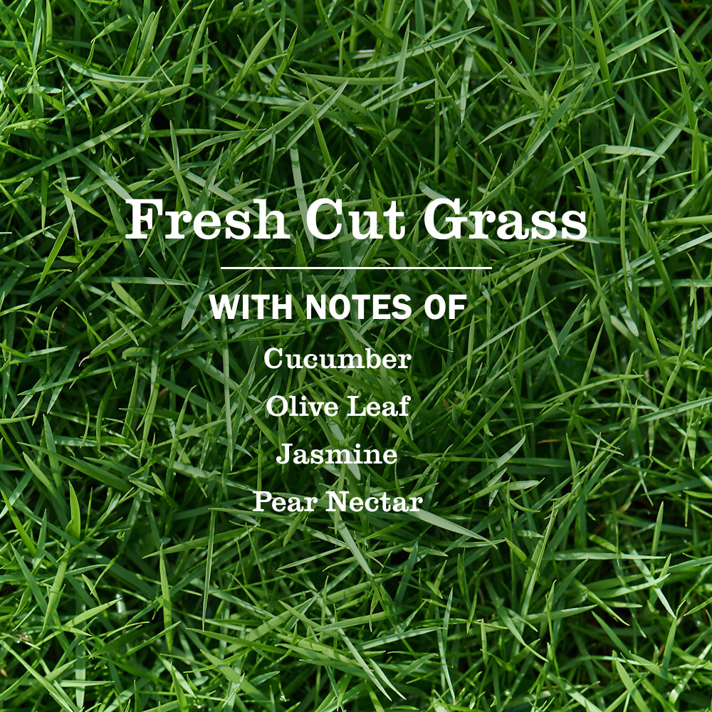 mse。ウッドブロンド,saw grass ,Fresh Pear Fresh Cut Grass Hand Soap | Mrs. Meyer's – Mrs. Meyer's Clean Day