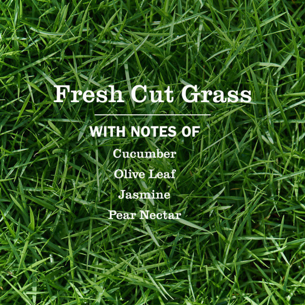 Fresh Cut Grass Room Freshener – Mrs. Meyer's Clean Day