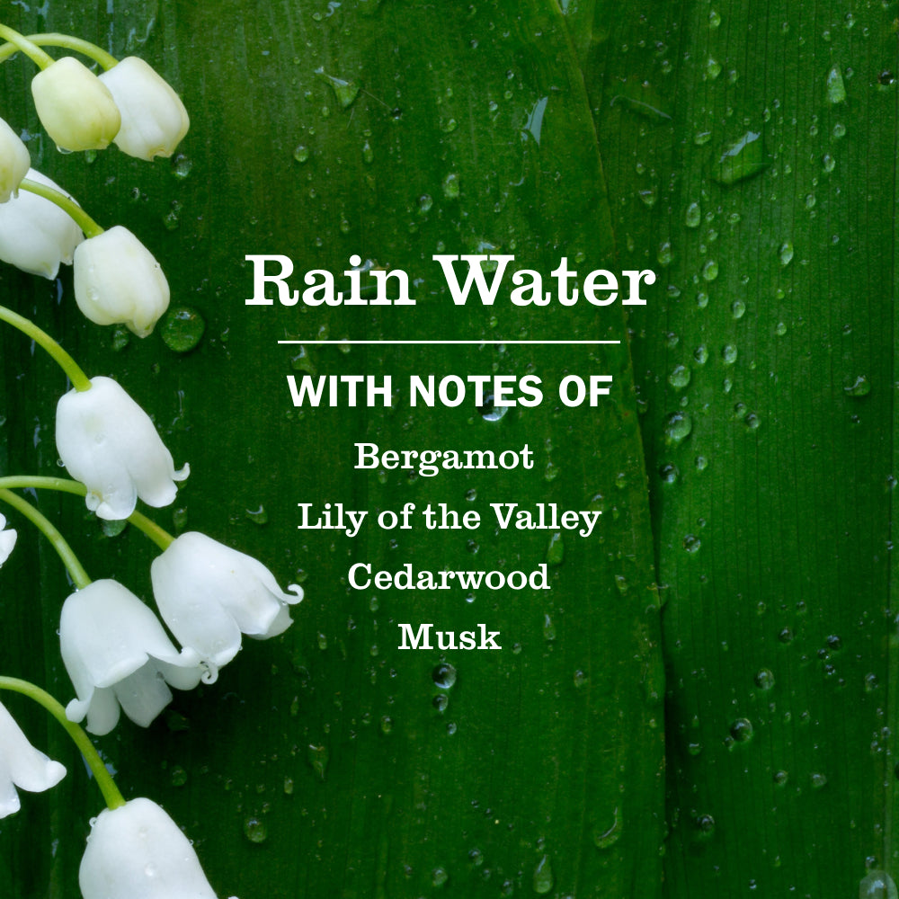 Mrs. Meyer's Rain Water Fabric Softener – Mrs. Meyer's Clean Day