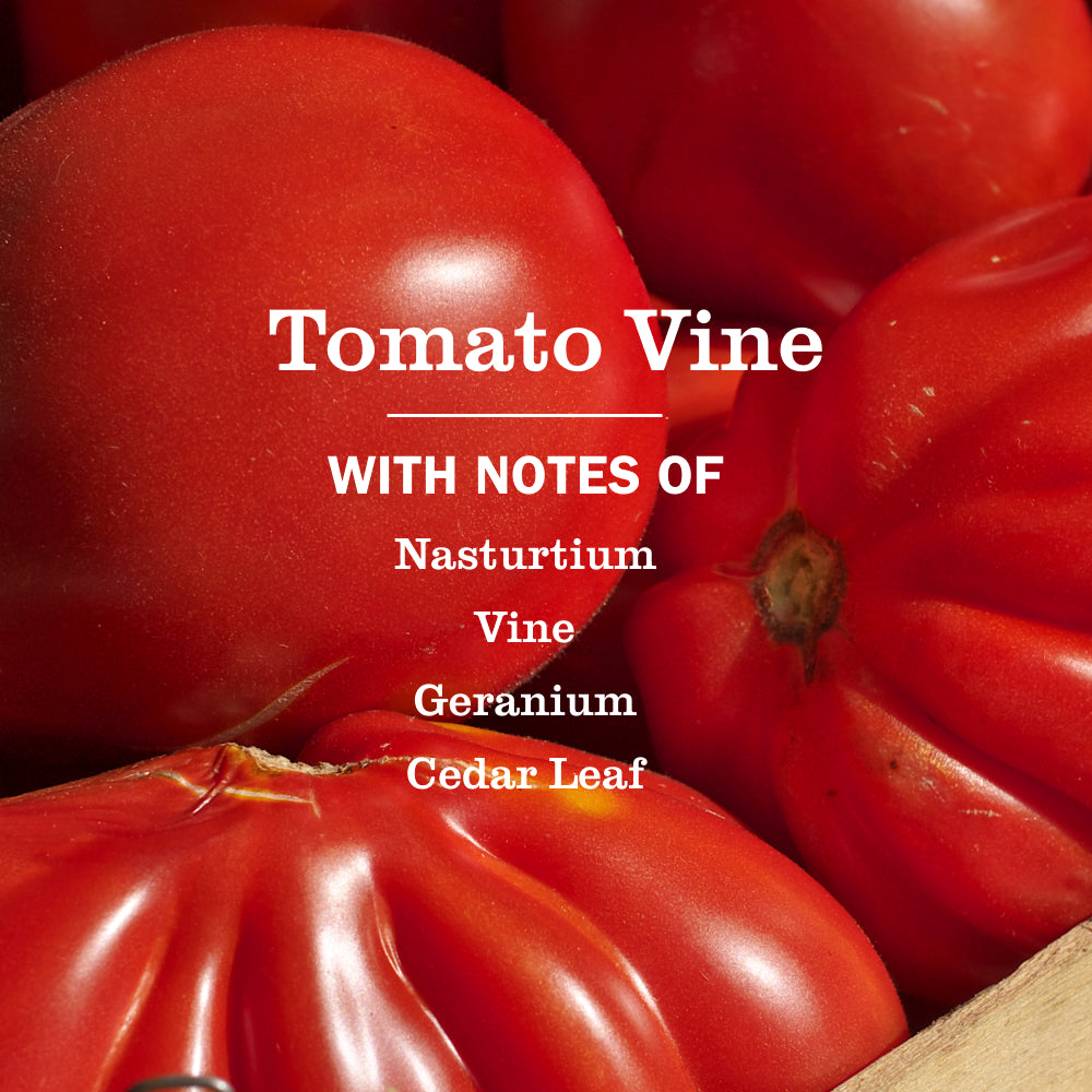 Tomato Vine Room Freshener – Mrs. Meyer's Clean Day